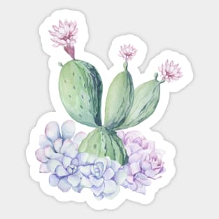 Pretty Pink and Green Southwest Cactus Succulent Sticker